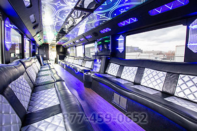 Party Bus (MCI-2) - 45-50 Passengers